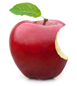 The Credit Union's Role in Preventing Apple Pay Fraud