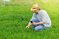 Will Mobile Banking in Rural Areas Make Life Easier?