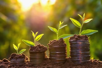 It's Finally Spring - A Time For Credit Union Growth and Member Cultivation